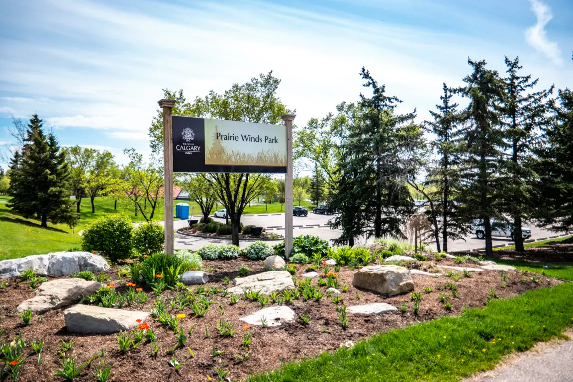 Castleridge streetscape